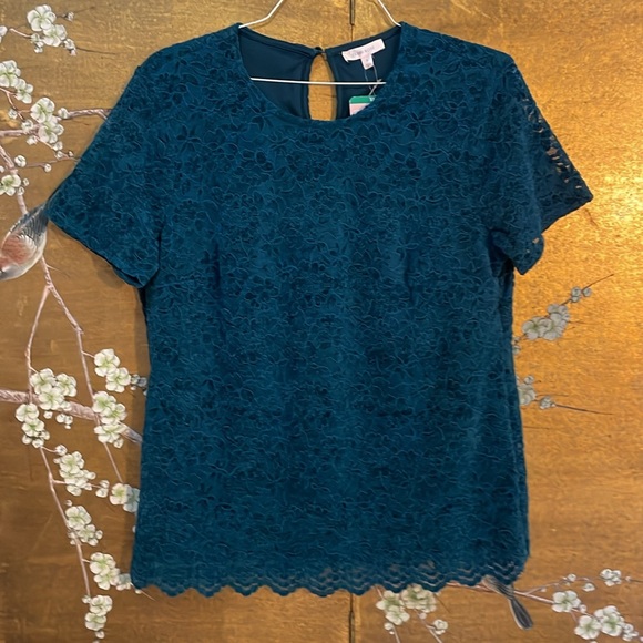 4 for $25 Teddi Rose NWT chenille lace, short sleeved top in emerald green - Picture 1 of 11